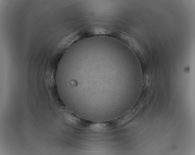 X0000091210422200708161547
