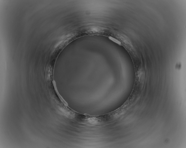 X0000091210423200708161547