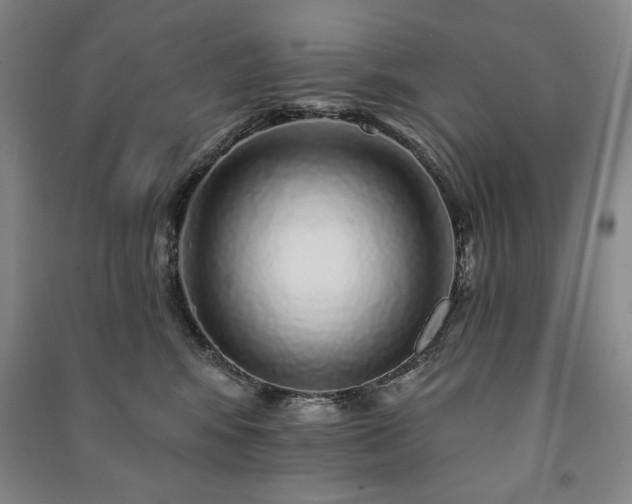 X0000091210424200708161547