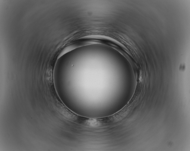 X0000091210425200708161547