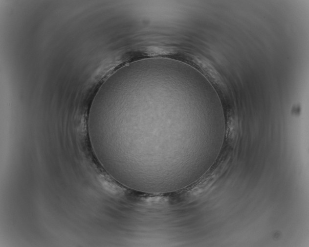X0000091210426200708161547