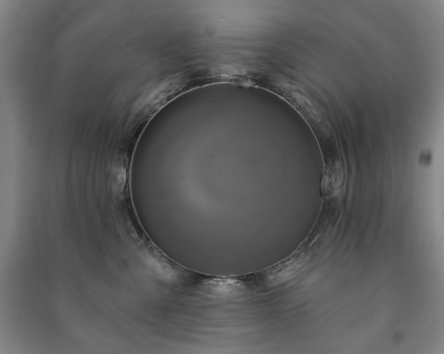 X0000091210427200708161547