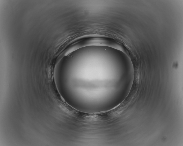 X0000091210428200708161547