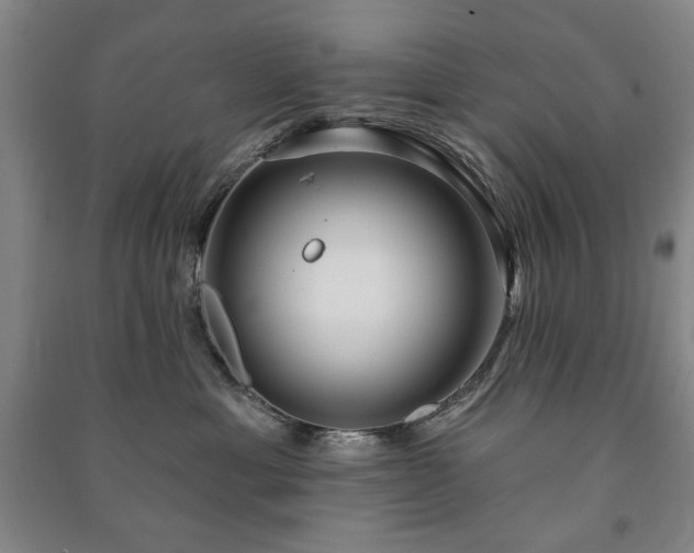 X0000091210429200708161547
