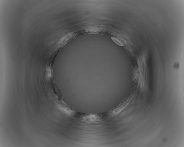 X0000091210431200708161547