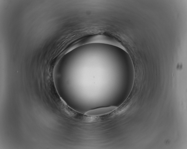 X0000091210432200708161547