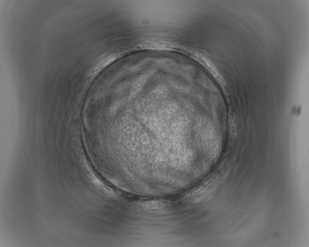 X0000091210433200708161546