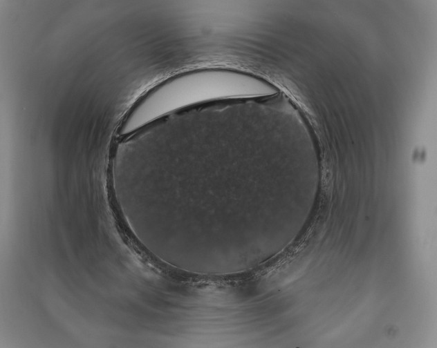 X0000091210434200708161546