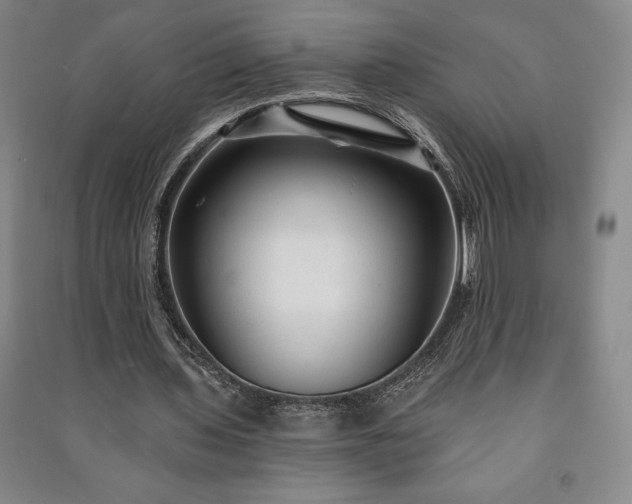 X0000091210435200708161546