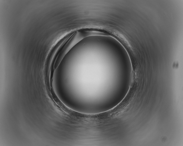 X0000091210436200708161546