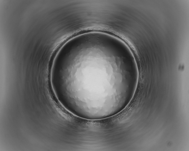 X0000091210437200708161546