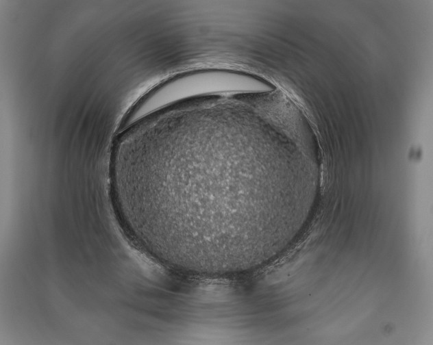 X0000091210438200708161546