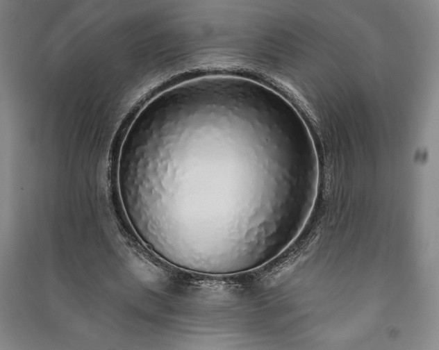X0000091210439200708161546