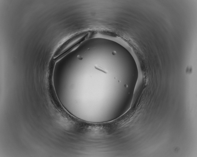 X0000091210440200708161546