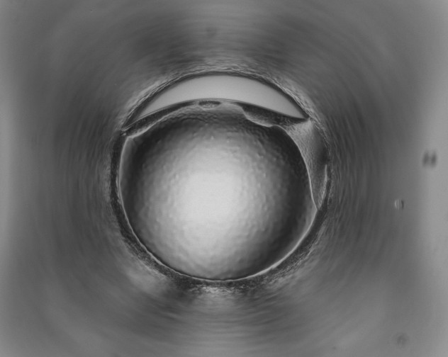 X0000091210442200708161546