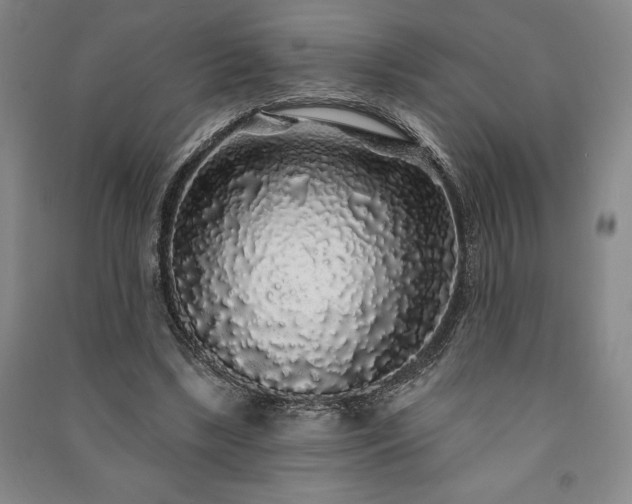 X0000091210443200708161546