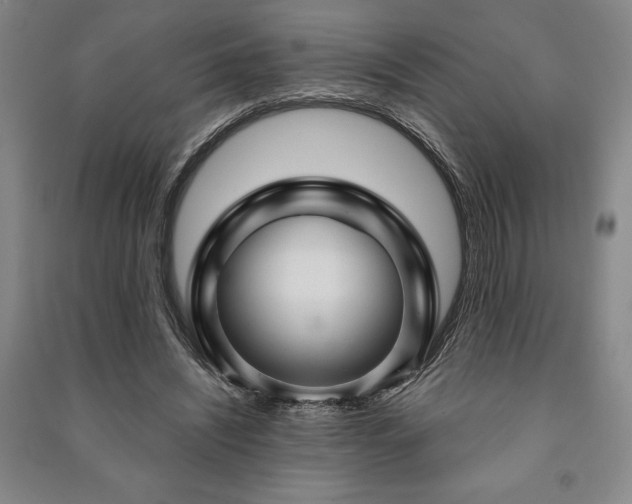 X0000091210444200708161546