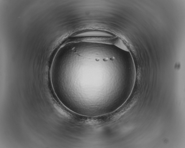X0000091210445200708161546