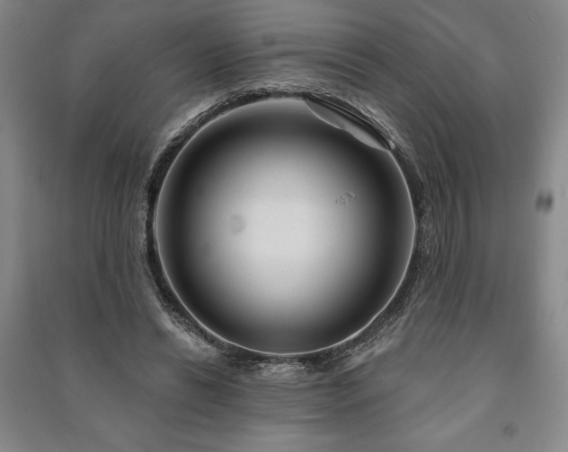 X0000091210446200708161546