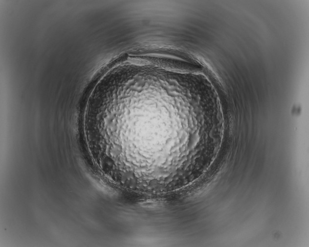 X0000091210447200708161546