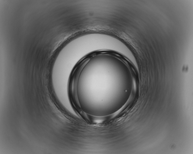 X0000091210448200708161546