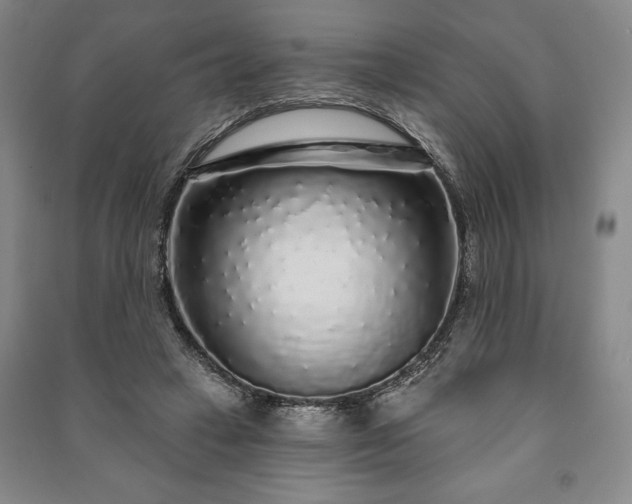 X0000091210449200708161546