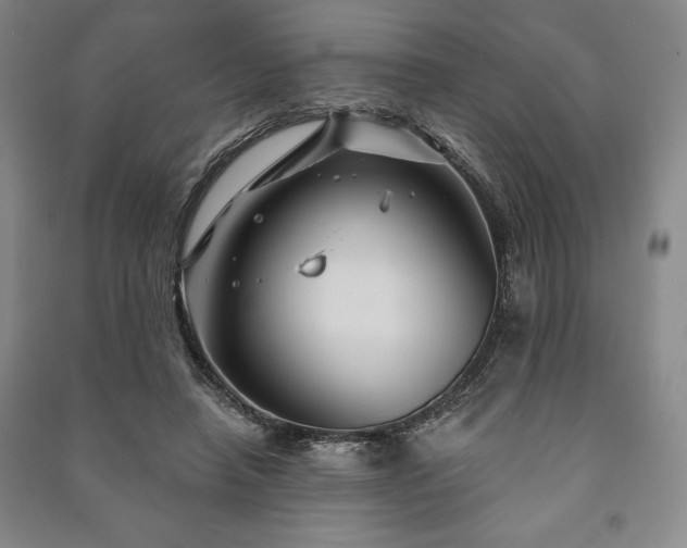 X0000091210450200708161546
