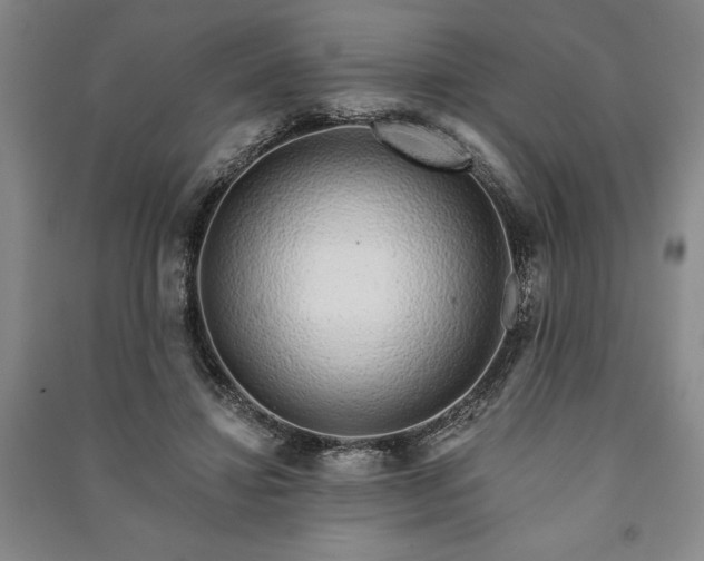 X0000091210452200708161546