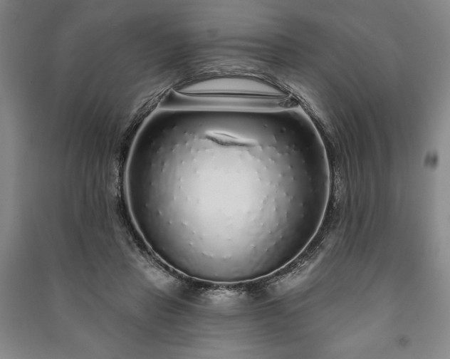 X0000091210453200708161546