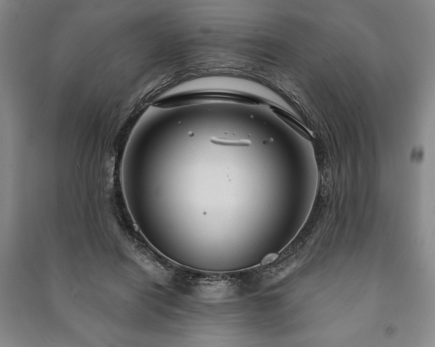 X0000091210454200708161546