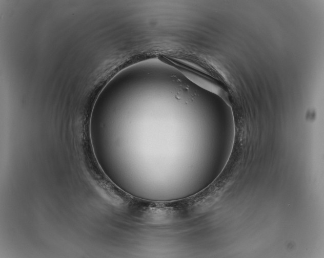 X0000091210455200708161546