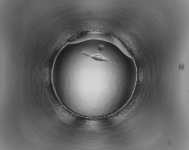 X0000091210457200708161546