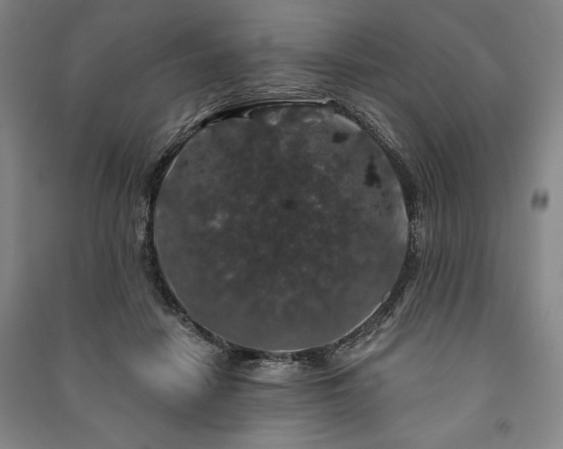 X0000091210458200708161546