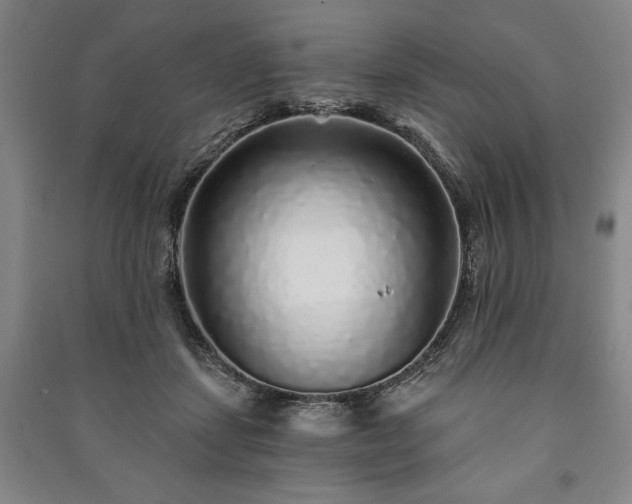 X0000091210459200708161546