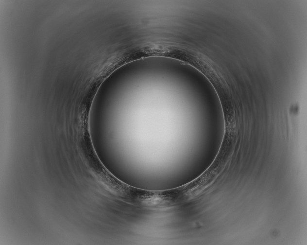 X0000091210460200708161546