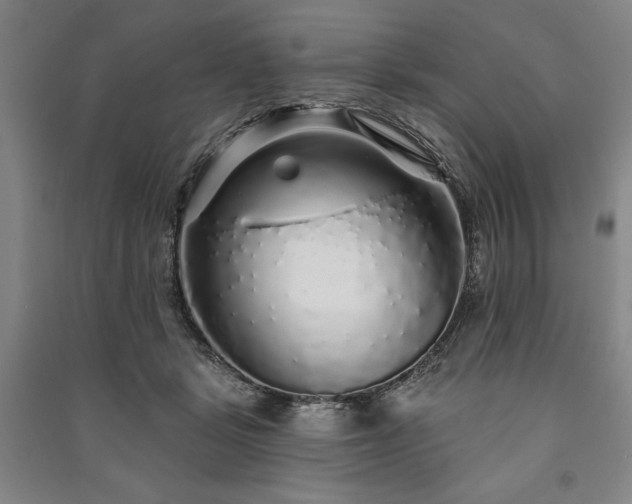 X0000091210461200708161546
