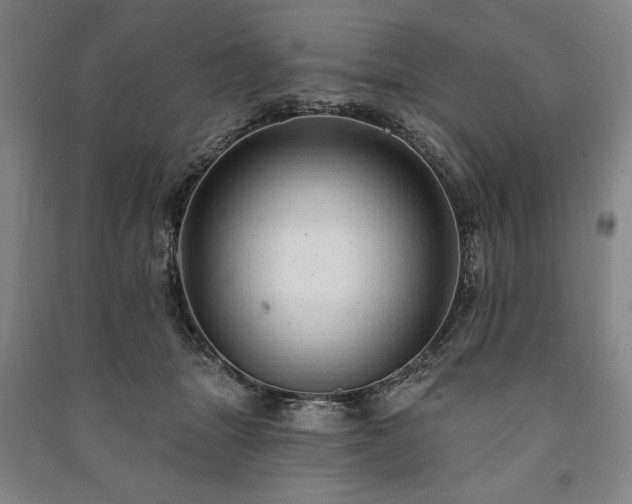 X0000091210463200708161546