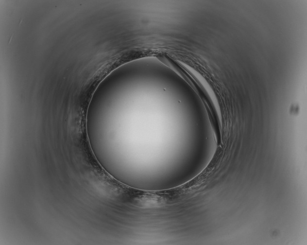 X0000091210464200708161546