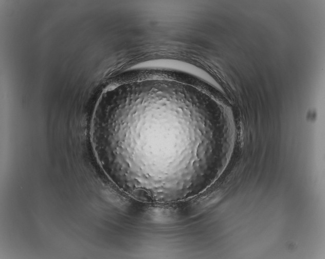 X0000091210466200708161546