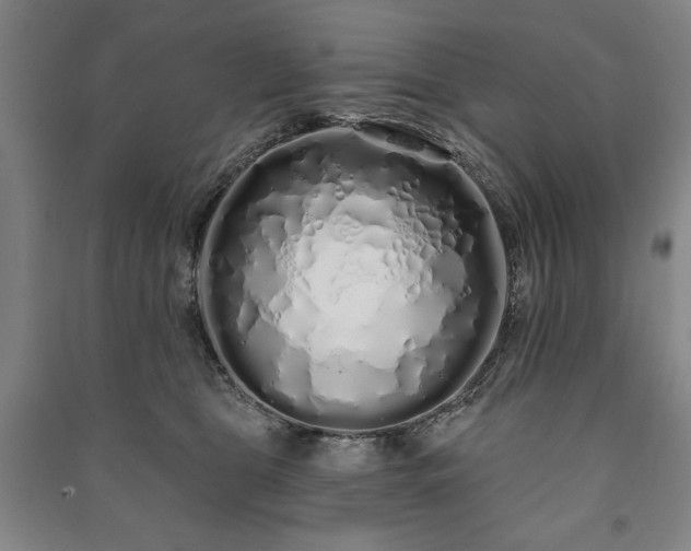X0000091210469200708161546