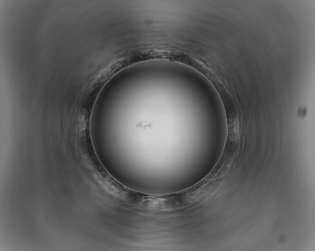 X0000091210472200708161546