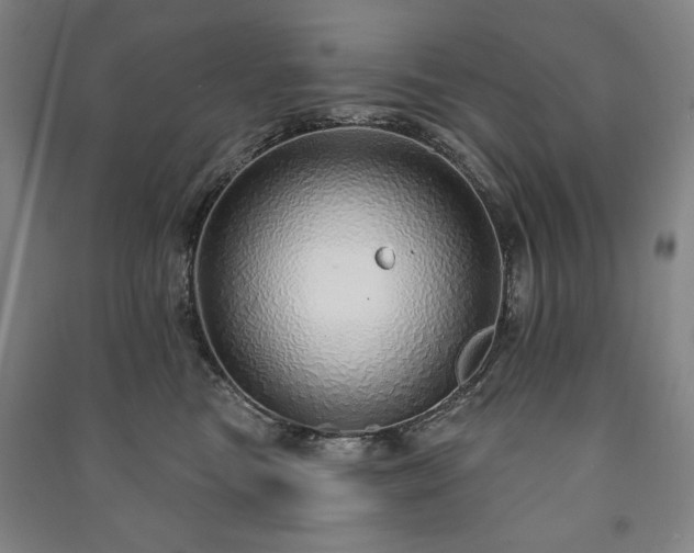 X0000091210473200708161546