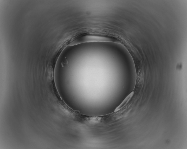 X0000091210474200708161546