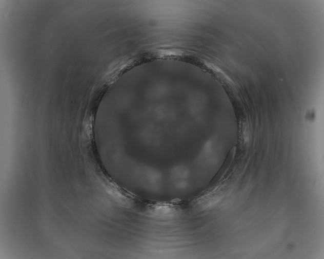 X0000091210475200708161547