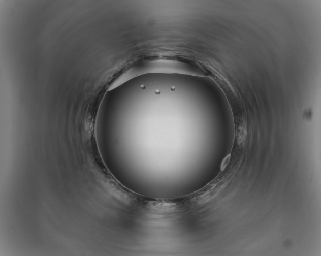 X0000091210476200708161547
