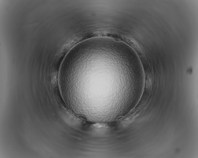 X0000091210477200708161547