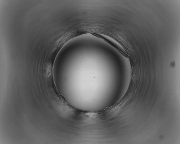 X0000091210478200708161547