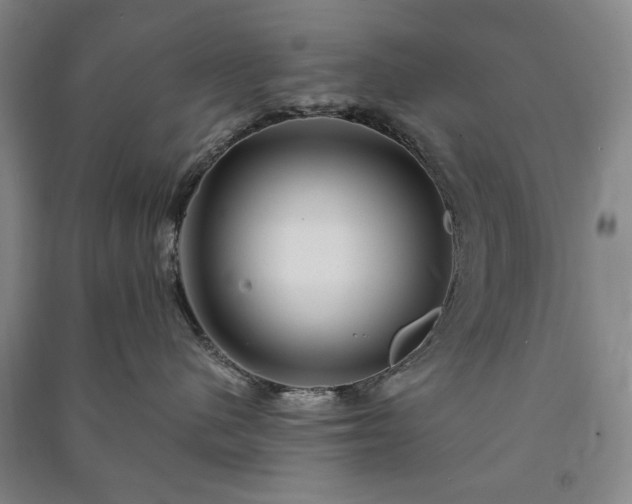 X0000091210480200708161547