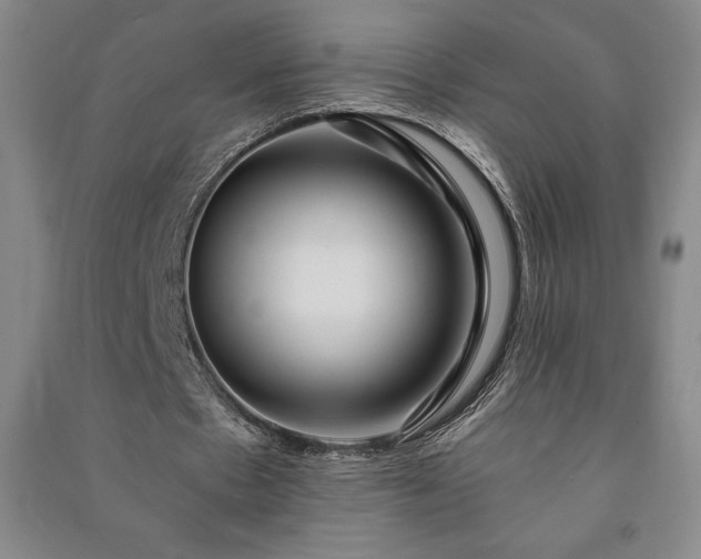 X0000091210481200708161546