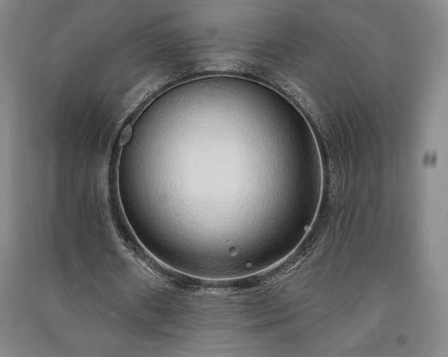X0000091210482200708161546